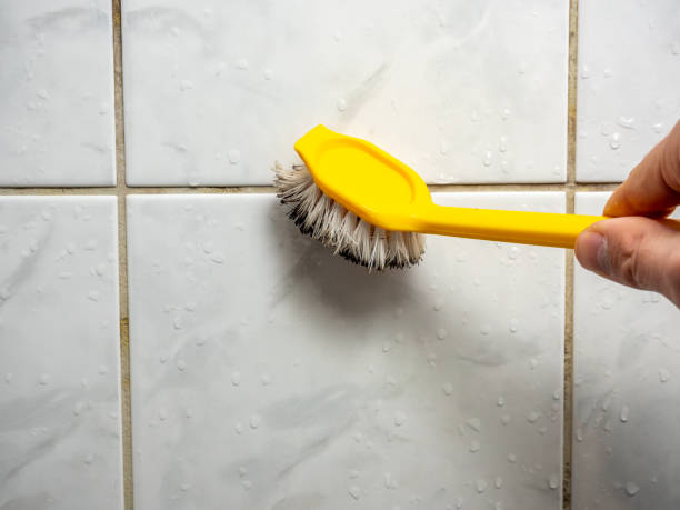 Best Commercial Mold Removal  in Essex Village, CT