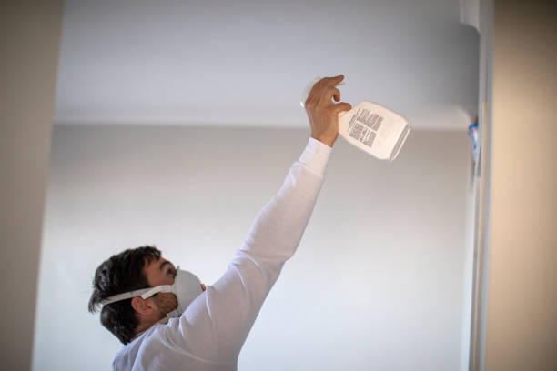 Essex Village, CT Mold Removal Company