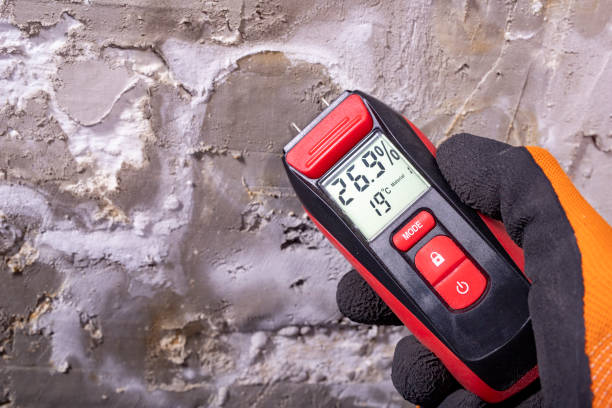 Best Mold Remediation Services  in Essex Village, CT