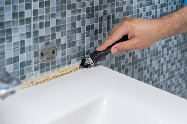 Best Mold Remediation Experts  in Essex Village, CT