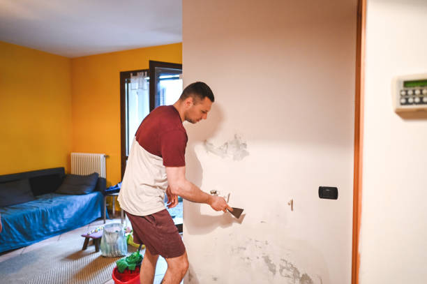 Best Residential Mold Removal  in Essex Village, CT